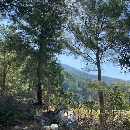 Διαμέρισμα Beyza Φετιγιέ